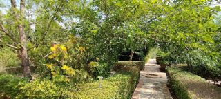 Chalet en venta en Crevillent