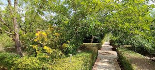 Chalet en venta en Crevillent