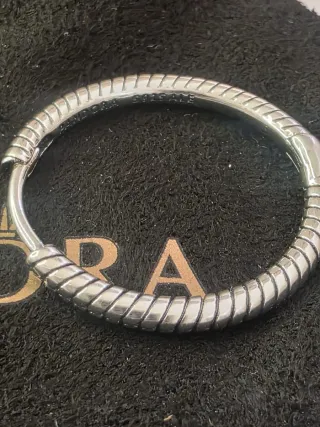 Aros Pandora Plata Charms