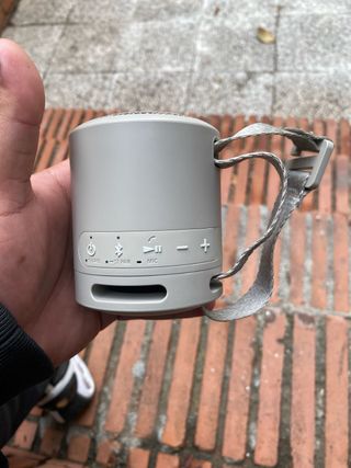 Altavoz Bluetooth Sony Beige/Gris