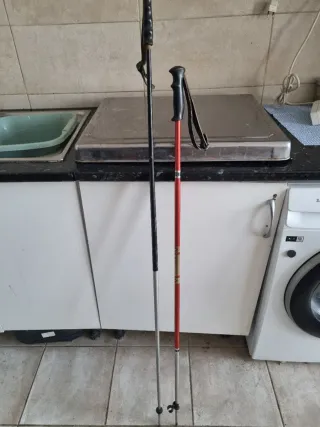 Bastones de senderismo (2 unidades)