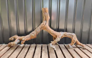 Raíz/tronco Decoración acuario