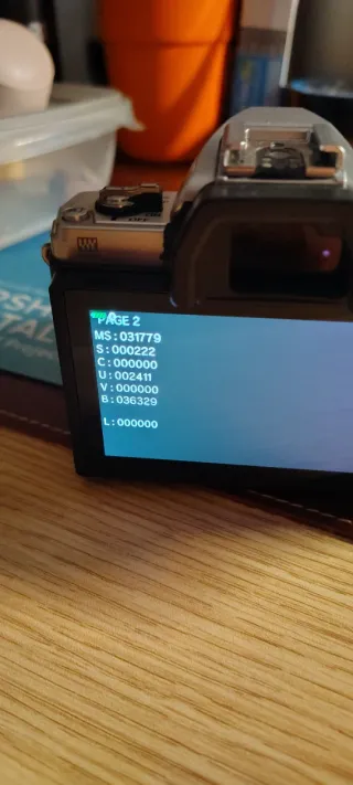 Olympus E-M10 Mark IV & m.zuiko 40-150