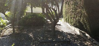 Casa en venta en Corbera de Llobregat