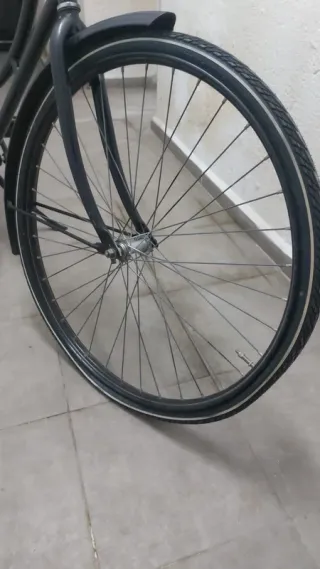Bicicleta Holandesa Clásica