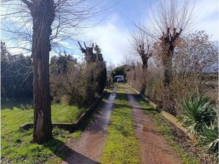 Chalet en venta en Argamasilla de Calatrava