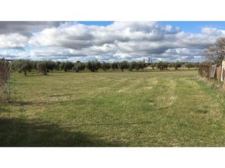 Chalet en venta en Argamasilla de Calatrava