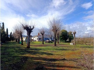 Chalet en venta en Argamasilla de Calatrava