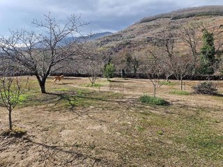 Casa rural en venta en Plasencia