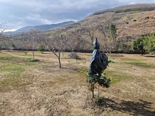 Casa rural en venta en Plasencia