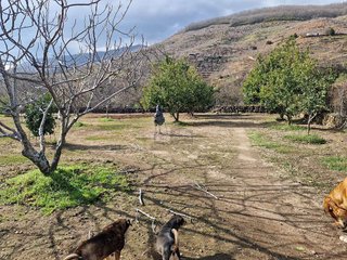 Casa rural en venta en Plasencia