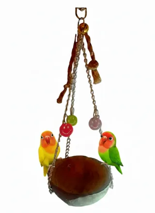 Pack agapornis/pájaros/periquitos/loros