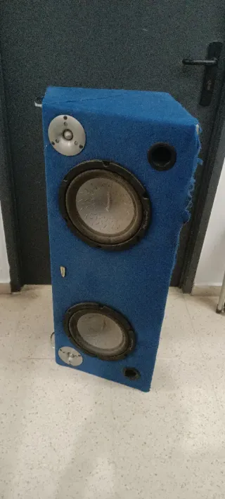 Caja Acústica Pioneer para Coche