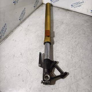 Horquilla izquierda BMW F900 R 2021