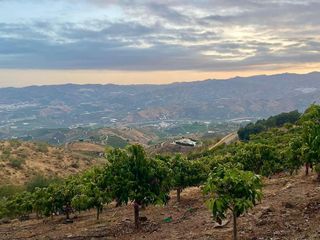 Casa rural en venta en Cútar