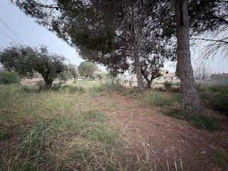 Chalet en venta en Moralet - Cañada del Fenollar en Alicante