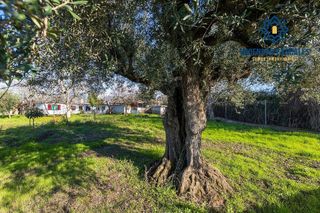 Casa rural en venta en Otura