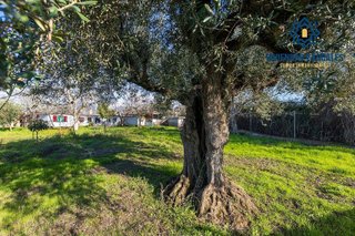 Casa rural en venta en Otura