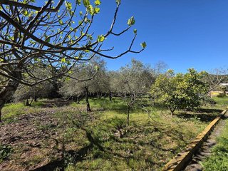 Chalet en venta en Santa Maria de Trassierra en Córdoba