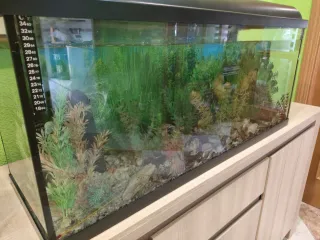 Acuario 100cm x 35cm,  140 litros con accesorios