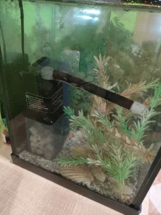Acuario 100cm x 35cm,  140 litros con accesorios