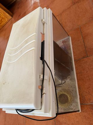 Pecera