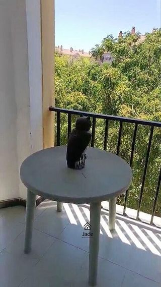 Piso en venta en Sector Sur en Córdoba