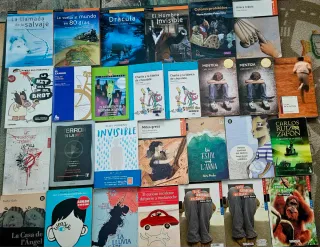 Libros de lectura ESO