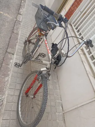 Bicicleta de paseo Quantum para adulto