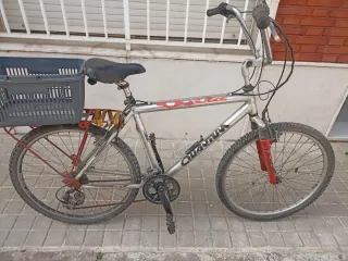 Bicicleta de paseo Quantum para adulto