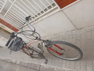 Bicicleta de paseo Quantum para adulto