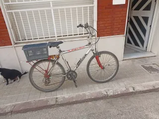 Bicicleta de paseo Quantum para adulto