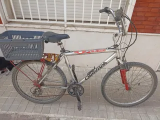 Bicicleta de paseo Quantum para adulto