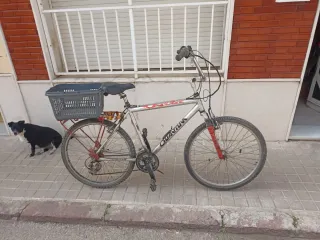 Bicicleta de paseo Quantum para adulto