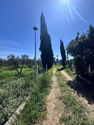 Chalet en venta en Utrera