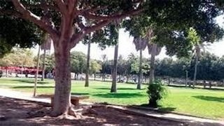 Piso en venta en Ejido Centro en Ejido (El)