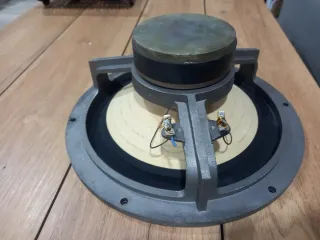 Woofer Altavoz Vieta Beige y Negro