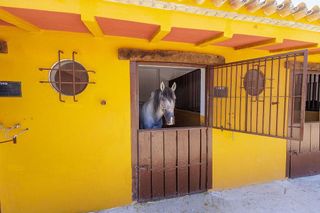 Cortijo en venta en Morón de la Frontera