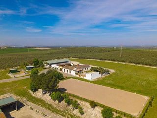 Cortijo en venta en Morón de la Frontera