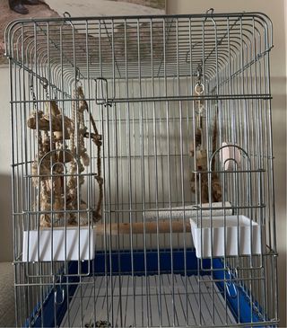 Jaula para loro con plato