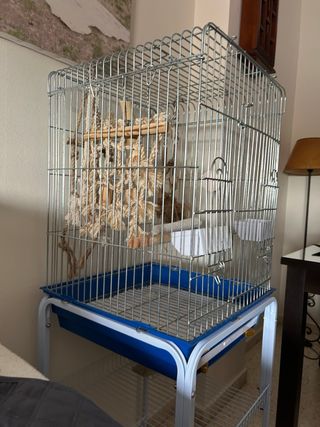 Jaula para loro con plato