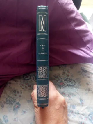 El alba de la civilización