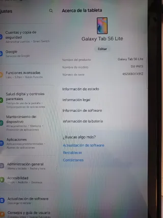 Samsung Galaxy Tab S6 Lite Negra