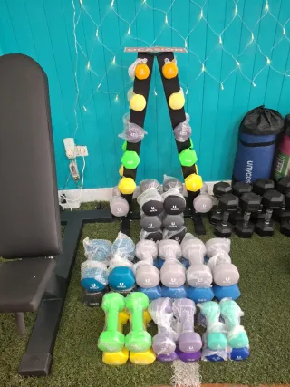 4 discos olímpicos 2 de 5kg y 2 de 2,5kg