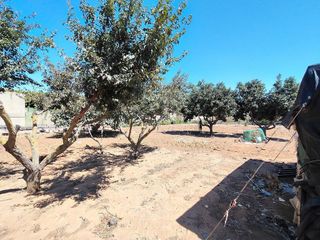 Casa rural en venta en La Jara en Sanlúcar de Barrameda