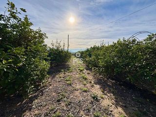 Chalet en venta en Totana