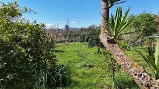 Casa pareada en venta en Coín