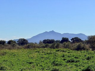 Casa rural en venta en Porreres
