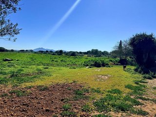 Casa rural en venta en Porreres