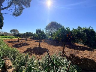 Casa rural en venta en Porreres